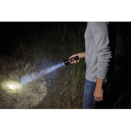 Torcia | BatteryGuard 750 Lumen - immagine 2
